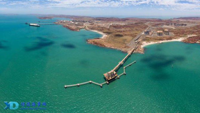 无高张护航 无高张护航